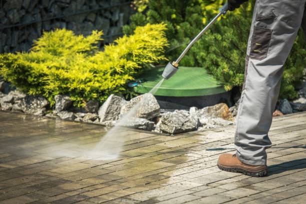 Best Roof Washing  in Palmer, TX